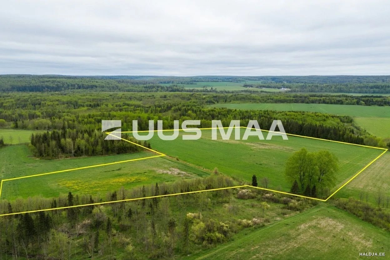 Müüa Elamumaa, Saue vald, Lehetu küla, Jõetaguse | Haldja Kinnisvara
